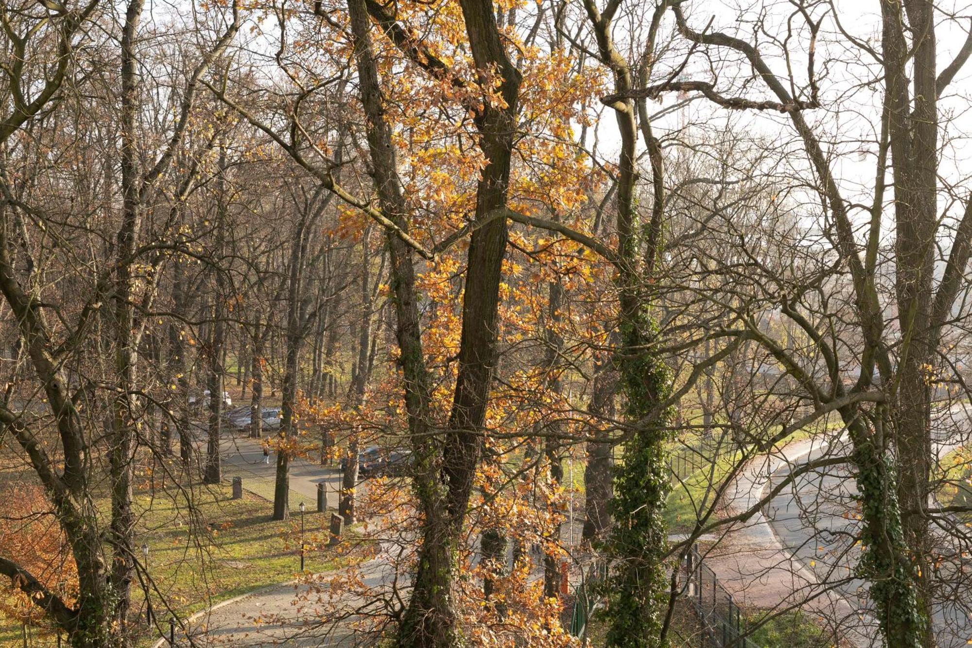 Apartament Szary Krakau Buitenkant foto